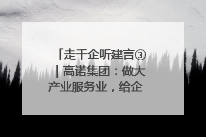 走千企听建言③｜高诺集团：做大产业服务业，给企业更多创新空间