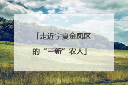 走近宁夏金凤区的“三新”农人