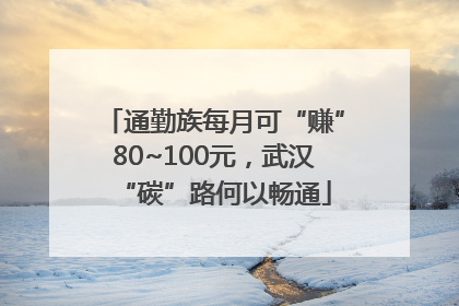 通勤族每月可“赚”80~100元，武汉“碳”路何以畅通