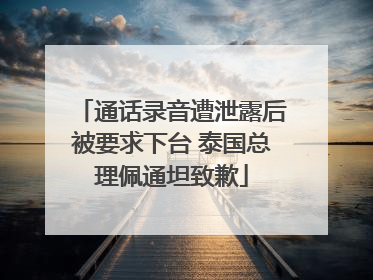 通话录音遭泄露后被要求下台 泰国总理佩通坦致歉