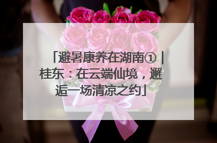 避暑康养在湖南①｜桂东：在云端仙境，邂逅一场清凉之约