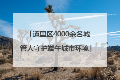 道里区4000余名城管人守护端午城市环境