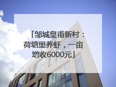 邹城皇甫新村：荷塘里养虾，一亩增收6000元