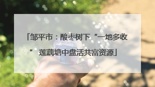 邹平市：酸枣树下“一地多收” 莲藕塘中盘活共富资源