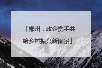 郴州：政企携手共绘乡村振兴新图景