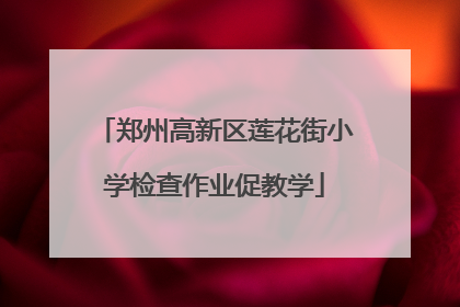 郑州高新区莲花街小学检查作业促教学