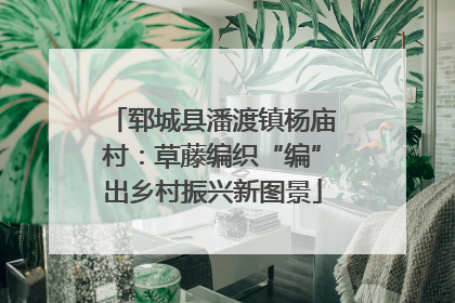 郓城县潘渡镇杨庙村：草藤编织“编”出乡村振兴新图景