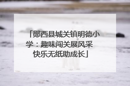 郧西县城关镇明德小学：趣味闯关展风采 快乐无纸助成长
