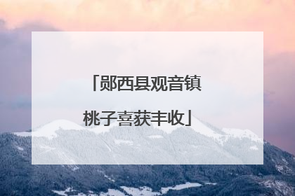 郧西县观音镇桃子喜获丰收