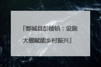 鄄城县彭楼镇：设施大棚赋能乡村振兴