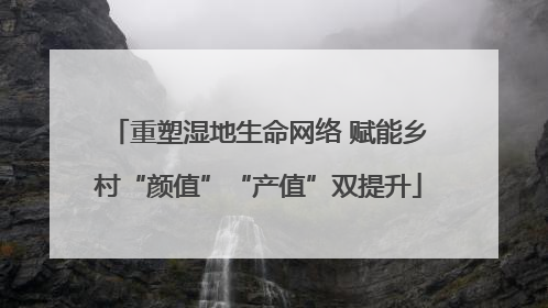 重塑湿地生命网络 赋能乡村“颜值”“产值”双提升