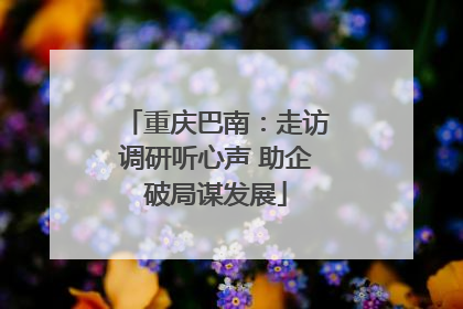 重庆巴南：走访调研听心声 助企破局谋发展