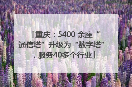 重庆：5400 余座“通信塔”升级为“数字塔”，服务40多个行业
