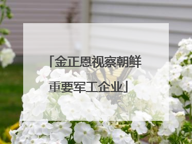 金正恩视察朝鲜重要军工企业