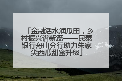 金融活水润瓜田，乡村振兴谱新篇——民泰银行舟山分行助力朱家尖西瓜甜蜜升级