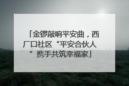 金锣敲响平安曲，西厂口社区“平安合伙人”携手共筑幸福家