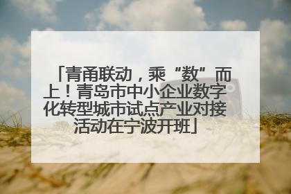 青甬联动，乘“数”而上！青岛市中小企业数字化转型城市试点产业对接活动在宁波开班