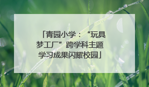 青园小学：“玩具梦工厂”跨学科主题学习成果闪耀校园
