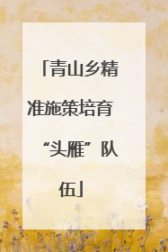 青山乡精准施策培育“头雁”队伍