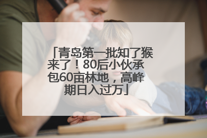 青岛第一批知了猴来了！80后小伙承包60亩林地，高峰期日入过万