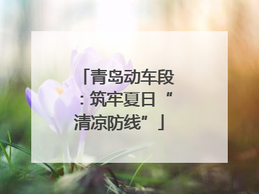 青岛动车段：筑牢夏日“清凉防线”