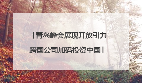 青岛峰会展现开放引力 跨国公司加码投资中国