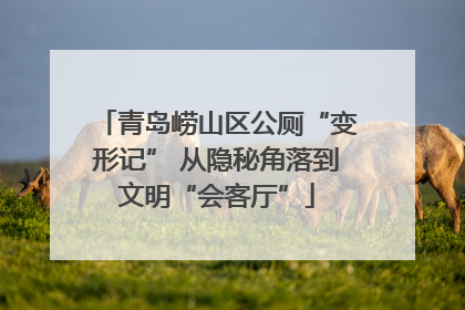 青岛崂山区公厕“变形记” 从隐秘角落到文明“会客厅”