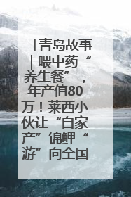 青岛故事｜喂中药“养生餐”，年产值80万！莱西小伙让“自家产”锦鲤“游”向全国