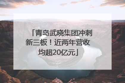 青岛武晓集团冲刺新三板！近两年营收均超20亿元