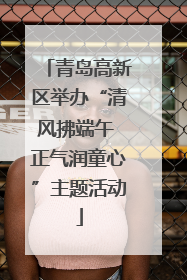 青岛高新区举办“清风拂端午 正气润童心”主题活动