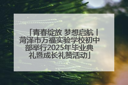 青春绽放 梦想启航丨菏泽市万福实验学校初中部举行2025年毕业典礼暨成长礼赞活动