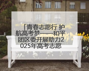 青春志愿行 护航高考梦——和平团区委开展助力2025年高考志愿服务活动