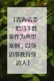 青海省委：把马丰胜案作为典型案例，以身边事教育身边人