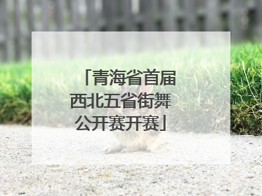 青海省首届西北五省街舞公开赛开赛