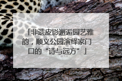 非遗皮影邂逅园艺雅韵，顺义公园演绎家门口的“诗与远方”