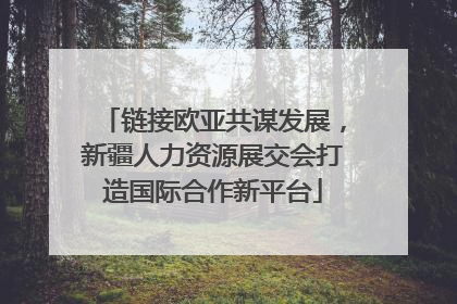 链接欧亚共谋发展，新疆人力资源展交会打造国际合作新平台