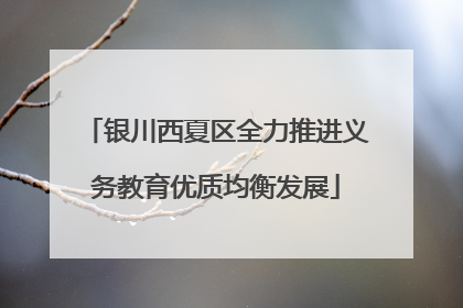 银川西夏区全力推进义务教育优质均衡发展