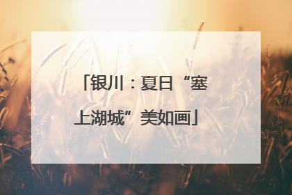 银川：夏日“塞上湖城”美如画