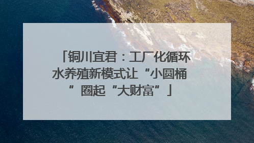 铜川宜君：工厂化循环水养殖新模式让“小圆桶”圈起“大财富”