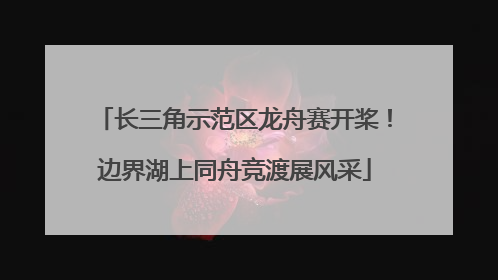 长三角示范区龙舟赛开桨！边界湖上同舟竞渡展风采