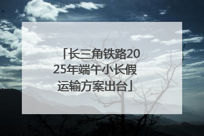长三角铁路2025年端午小长假运输方案出台