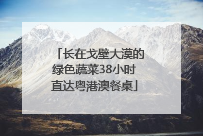 长在戈壁大漠的绿色蔬菜38小时直达粤港澳餐桌