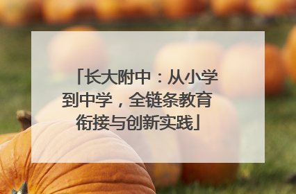 长大附中：从小学到中学，全链条教育衔接与创新实践