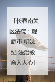 长春南关区法院：观庭审 明法纪 法治教育入人心