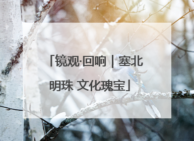 镜观·回响｜塞北明珠 文化瑰宝