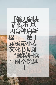 镰刀割麦话传承 基因育种启新程——第十届杨凌小麦文化节见证“颗粒归仓”时空跨越