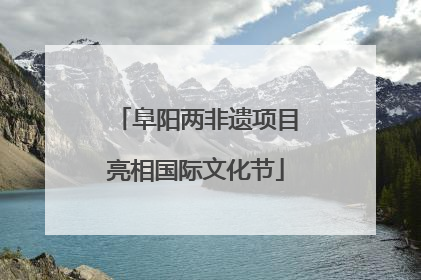 阜阳两非遗项目亮相国际文化节