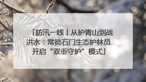 防汛一线丨从护青山到战洪水：常德石门生态护林员开启“双重守护”模式