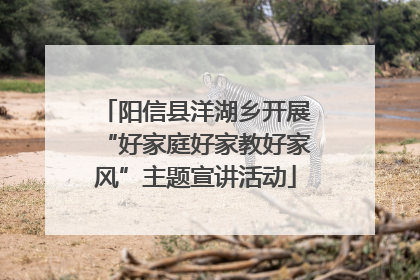 阳信县洋湖乡开展“好家庭好家教好家风”主题宣讲活动