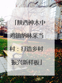 陕西神木中鸡镇纳林采当村：打造乡村振兴新样板